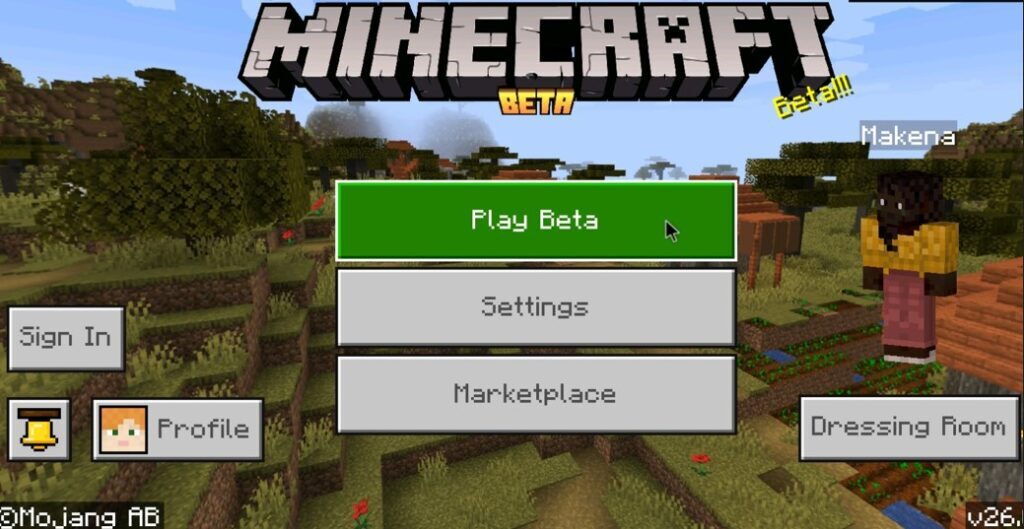 Minecraft 26