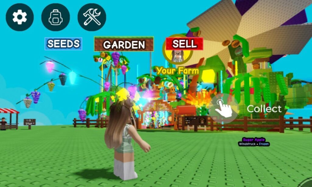 Parasol Money Flower