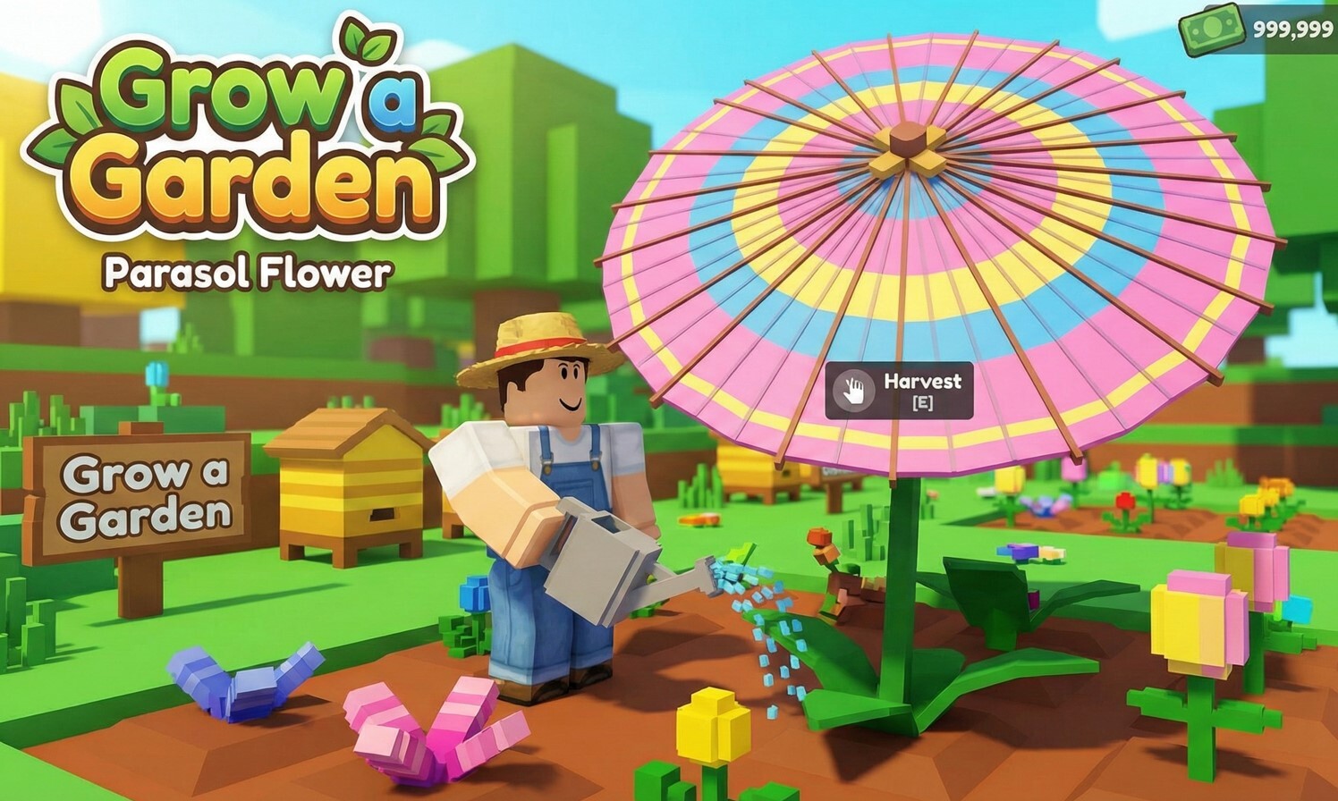 Grow a Garden – The Parasol Money Flower Guide